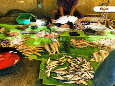 Kolkata Fish Price: মেছো বাঙালির পাতে জোড়া সার্জিক্যাল স্ট্রাইক! কেন দাম বাড়ছে মাছের?