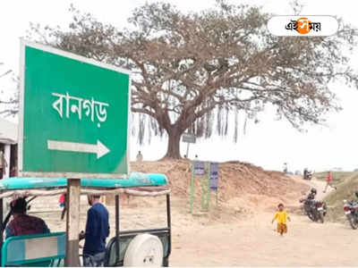 Bangarh: বান রাজার মেয়ের সম্পর্ক ছিল শ্রীকৃষ্ণের নাতির সঙ্গে! রক্ষণাবেক্ষণের অভাবে ধ্বংসের মুখে বানগড়