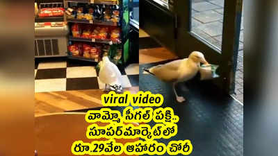 viral video: వామ్మో సీగల్ పక్షి.. సూపర్‌మార్కెట్‌లో రూ.29వేల ఆహారం చోరీ