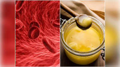 Cholesterol: কোলেস্টেরল রোগীদের কোন কোন খাবার বিষের সমান? উত্তরে বিশিষ্ট চিকিৎসক 