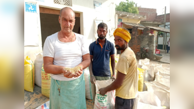 Ghazipur Wheat News: औसत से ज्यादा गर्मी ने गेहूं की फसल को किया खराब, गाजीपुर में 40 प्रतिशत तक ही होगी पैदावार