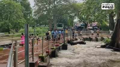 ஒகேனக்கலில் திடீர் வெள்ளப்பெருக்கு; சுற்றுலா பயணிகளுக்கு தடை; லேட்டஸ்ட் அப்டேட்!