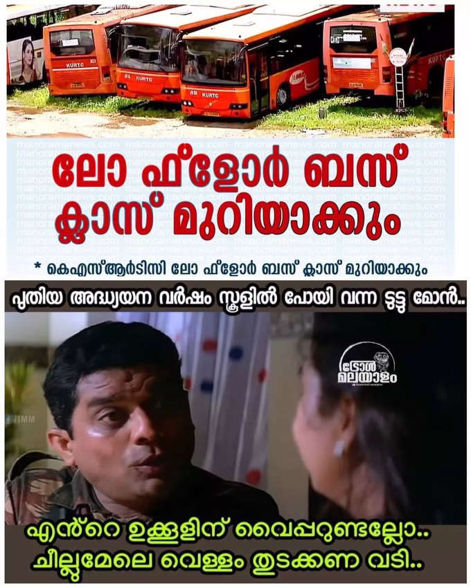 ​പിന്നെ ടാർപായയുണ്ട് , കോണിയുണ്ട്.