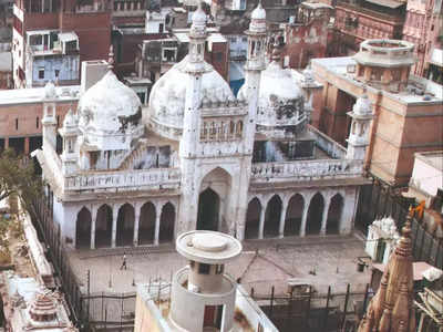 Gyanvapi Masjid Survey: ज्ञानवापी मस्जिद में मिला शिवलिंग या फव्वारा? पढ़िए Twitter पर क्या आ रहे रिएक्शन