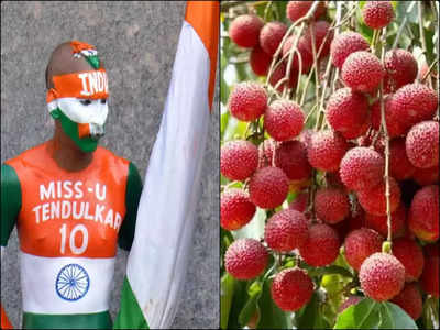 Muzaffarpur Shahi Litchi: शादी की सालगिरह पर सचिन, अंजली को शाही लीची का उपहार देंगे सुपर फैन