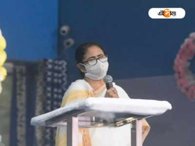 Mamata Banerjee: ...ধমকাবে না, অ্যারেস্ট করিয়ে দেব!  তৃণমূল নেতাকে তীব্র ভর্ৎসনা মমতার