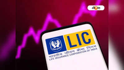 দীর্ঘমেয়াদে লাভ LIC-র শেয়ারে, মন্ত্র বিশেষজ্ঞদের