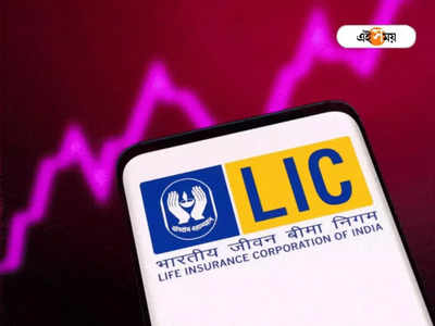 দীর্ঘমেয়াদে লাভ LIC-র শেয়ারে, মন্ত্র বিশেষজ্ঞদের