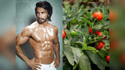 ranveer singh diet: ரன்வீர் உடம்பை இப்படி இரும்பு மாதிரி வெச்சிருக்க காலை உணவில் இந்த மூலிகையை சேர்த்துக் கொள்வாராம்...