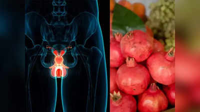 Mens Health: સંશોધનનો દાવો - પુરૃષોની 5 જાતીય સમસ્યાઓનો ઈલાજ છે આ લાલ ફળ