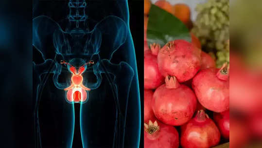Mens Health: સંશોધનનો દાવો - પુરૃષોની 5 જાતીય સમસ્યાઓનો ઈલાજ છે આ લાલ ફળ 