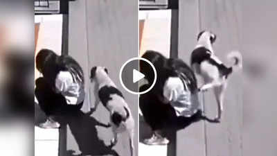 Funny Video: फुटपाथ किनारे बैठी थी महिला, कुत्ता आया और कर दी गंदी हरकत!