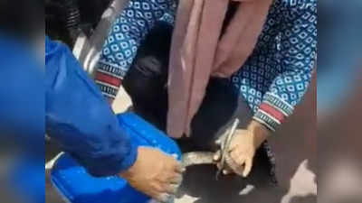 Viral Video: ದ್ವಿಚಕ್ರ ವಾಹನದಲ್ಲಿ ಅಡಗಿ ಕುಳಿತಿದ್ದ ಹಾವು!: ಉರಗವನ್ನು ರಕ್ಷಿಸಿದ ಮಹಿಳೆ