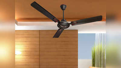 बड़े रूम में भरपूर हवा देने के लिए भी बेस्ट हैं ये Ceiling Fan, इन पर नहीं टिकेगी धूल