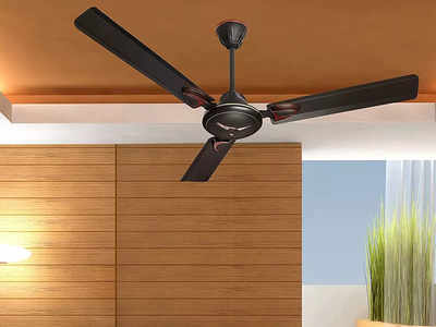 बड़े रूम में भरपूर हवा देने के लिए भी बेस्ट हैं ये Ceiling Fan, इन पर नहीं टिकेगी धूल