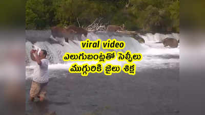 viral video: ఎలుగుబంట్లతో సెల్ఫీలు.. ముగ్గురికి జైలు శిక్ష