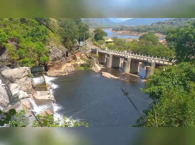 சம்மர் லீவு பரிதாபங்கள்.. தொடர் மழை.. மணிமுத்தாறு அருவியில் குளிக்க தடை!