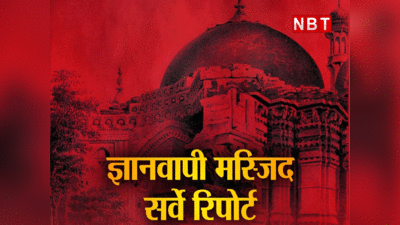 Gyanvapi Survey Report: त्रिशूल, कमल, डमरू.. मस्जिद में हिंदू संस्कृति के प्रतीक चिह्न, ज्ञानवापी की सर्वे रिपोर्ट लीक