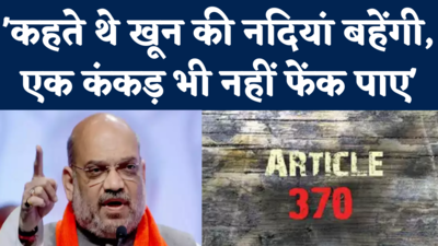 Amit Shah on Article 370: शाह बोले- पीएम मोदी ने चुटकी में हटाया अनुच्छेद 370, कोई एक कंकड़ तक नहीं फेंक सका