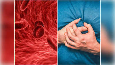 Cholesterol: কী ভাবে বুঝবেন রক্তে বেড়েছে কোলেস্টেরল? জানুন চিকিৎসকের মুখে