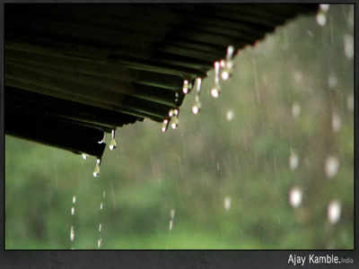 Pre Monsoon Rain: राज्यातील अनेक भागांमध्ये पूर्वमोसमी पावसाची हजेरी; शेतमालाचे नुकसान