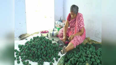 விருதுநகர் பட்டாசு ஆலைகள் உரிமம் தற்காலிக ரத்து - ஆட்சியர் அதிரடி