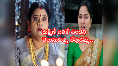 Devatha మే 20 ఎపిసోడ్: ఇది కల కాదు, నిజమే.. రుక్మిణీ బతికే ఉందని తెలుసుకున్న దేవుడమ్మ