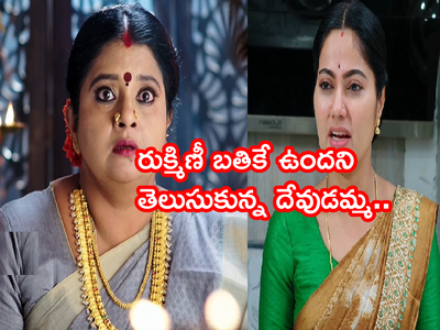 Devatha మే 20 ఎపిసోడ్: ఇది కల కాదు, నిజమే.. రుక్మిణీ బతికే ఉందని తెలుసుకున్న దేవుడమ్మ