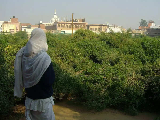 ​ಮರಗಳು ವಿಚಿತ್ರ