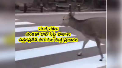 viral video: జింకతో రోడ్ సేఫ్టీ పాఠాలు.. ఉత్తరప్రదేశ్ పోలీసుల కొత్త ప్రచారం 