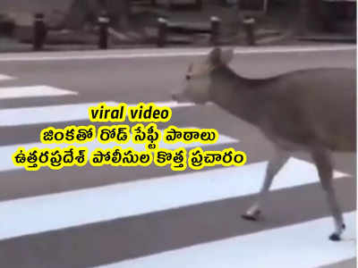 viral video: జింకతో రోడ్ సేఫ్టీ పాఠాలు.. ఉత్తరప్రదేశ్ పోలీసుల కొత్త ప్రచారం