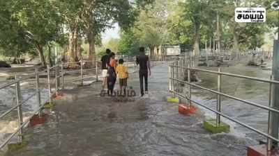 ஒகேனக்கலில் கரைபுரண்டு ஓடும் வெள்ளம்; சுற்றுலா பயணிகளுக்கு தடை!