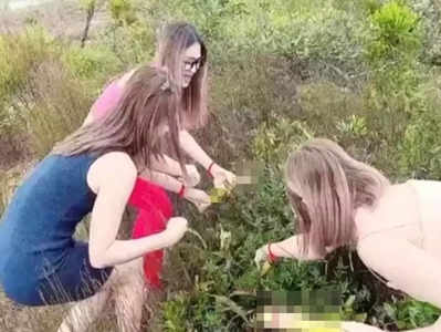 Viral: গাছে গজাচ্ছে পেনিস! হইচই রুখতে হুঁশিয়ারি সরকারের