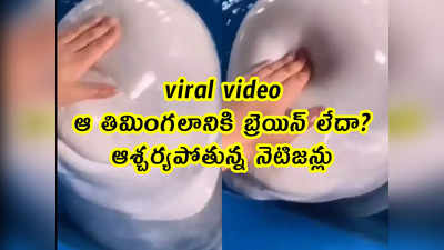 viral video: ఆ తిమింగలానికి బ్రెయిన్ లేదా.. ఆశ్చర్యపోతున్న నెటిజన్లు