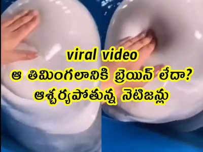 viral video: ఆ తిమింగలానికి బ్రెయిన్ లేదా.. ఆశ్చర్యపోతున్న నెటిజన్లు