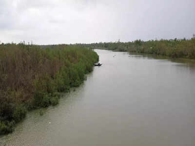 Weather Update: ৩০-৪০ কিলোমিটার বেগে ঝোড়ো হাওয়া বইবে Sundarban-এ, সঙ্গে বৃষ্টিও