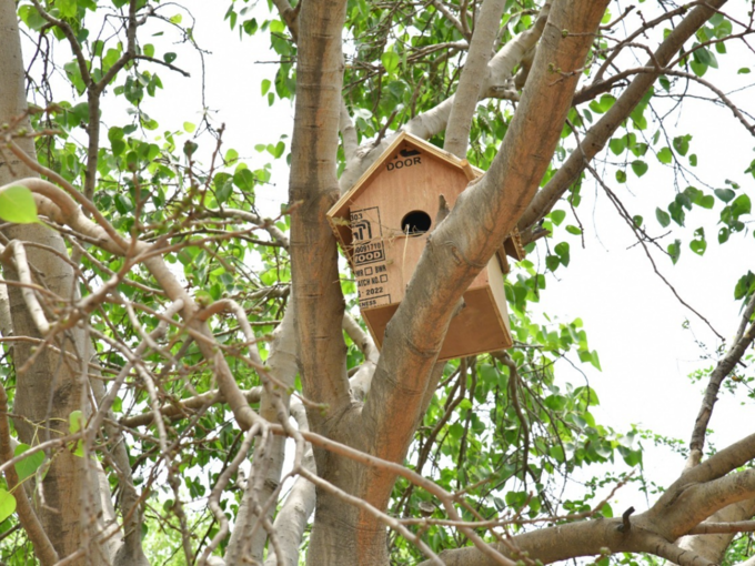 ​पक्षियों के संरक्षण के लिए विकसित किया गया गांव