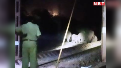 Elephant Accident by Train: मालगाड़ी की चपेट में आने से तीन हाथियों की मौत, कई घंटे तक रेल यातायात ठप