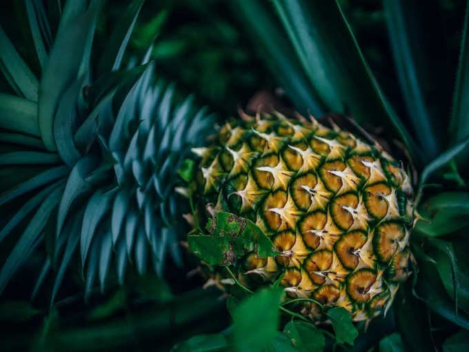 ​ಕನಸಿನಲ್ಲಿ ಅನಾನಸ್ ತಿನ್ನುವುದನ್ನು ನೋಡಿದರೆ