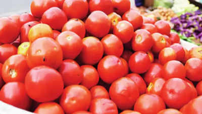 Tomato Price: ಮಾರುಕಟ್ಟೆಯಲ್ಲಿ ಟೊಮೆಟೊ ಬೆಲೆ ಹೆಚ್ಚಳ; ಬೆಳೆಗಾರರಿಗೆ ಸುಗ್ಗಿ, ಗ್ರಾಹಕರಿಗೆ ಸಂಕಟ