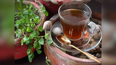 Tea For Immune System : சூடா  மூலிகை ஹெர்பல் டீ குடிங்க, பல மடங்கு எதிர்ப்பு சக்தி கிடைக்கும்! ரெசிபி இருக்கு!