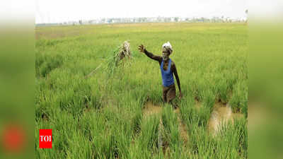 PM Kisan Yojana: कृषि मंत्री ने बताया कब आएगी पीएम किसान की किस्त, आपको मिलेगी या नहीं यहां करें चेक