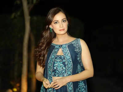 উড়ান বাতিল, মিলছে না ব্যাগ! Dia Mirza-র নিশানায় বিমান সংস্থা