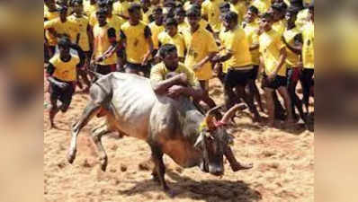 விருதுநகர் ஜல்லிக்கட்டு: காளை உரிமையாளர்கள் மற்றும் வீரர்களுக்கு முன்பதிவு செய்ய இதுதான் கடைசி தேதி!