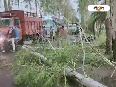 Kalbaishakhi: কালবৈশাখীর দাপটে বর্ধমানে মৃত্যু ২ জনের, কী অবস্থা বাকি জেলাগুলির?