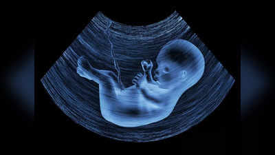 Agra News: अस्पताल के डस्टबिन में मिला 5 महीने का भ्रूण, डॉक्टर STF को देखकर बाथरूम में छुप गया, जनिए क्या है पूरा मामला