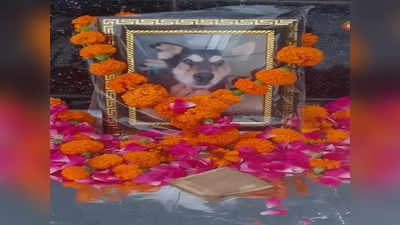 Jhansi News: कुत्ते की मौत पर अंतिम संस्कार से लेकर लोगों को कराया तेरहवीं भोज, मालिक और कालू की ये कहानी आप भी जानिए