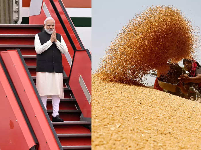India-bans-wheat