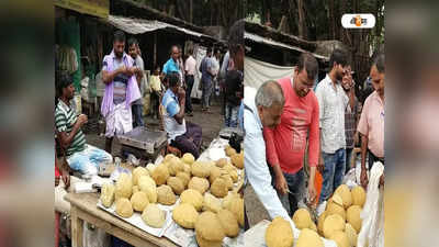 Malda: মন্দা কাটছে না! লাভের মুখ না দেখায় চিন্তায় ছানা ব্যবসায়ীরা