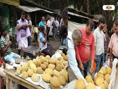 Malda: মন্দা কাটছে না! লাভের মুখ না দেখায় চিন্তায় ছানা ব্যবসায়ীরা